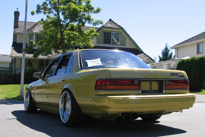 Random Snap>> Serial Nine Cressida