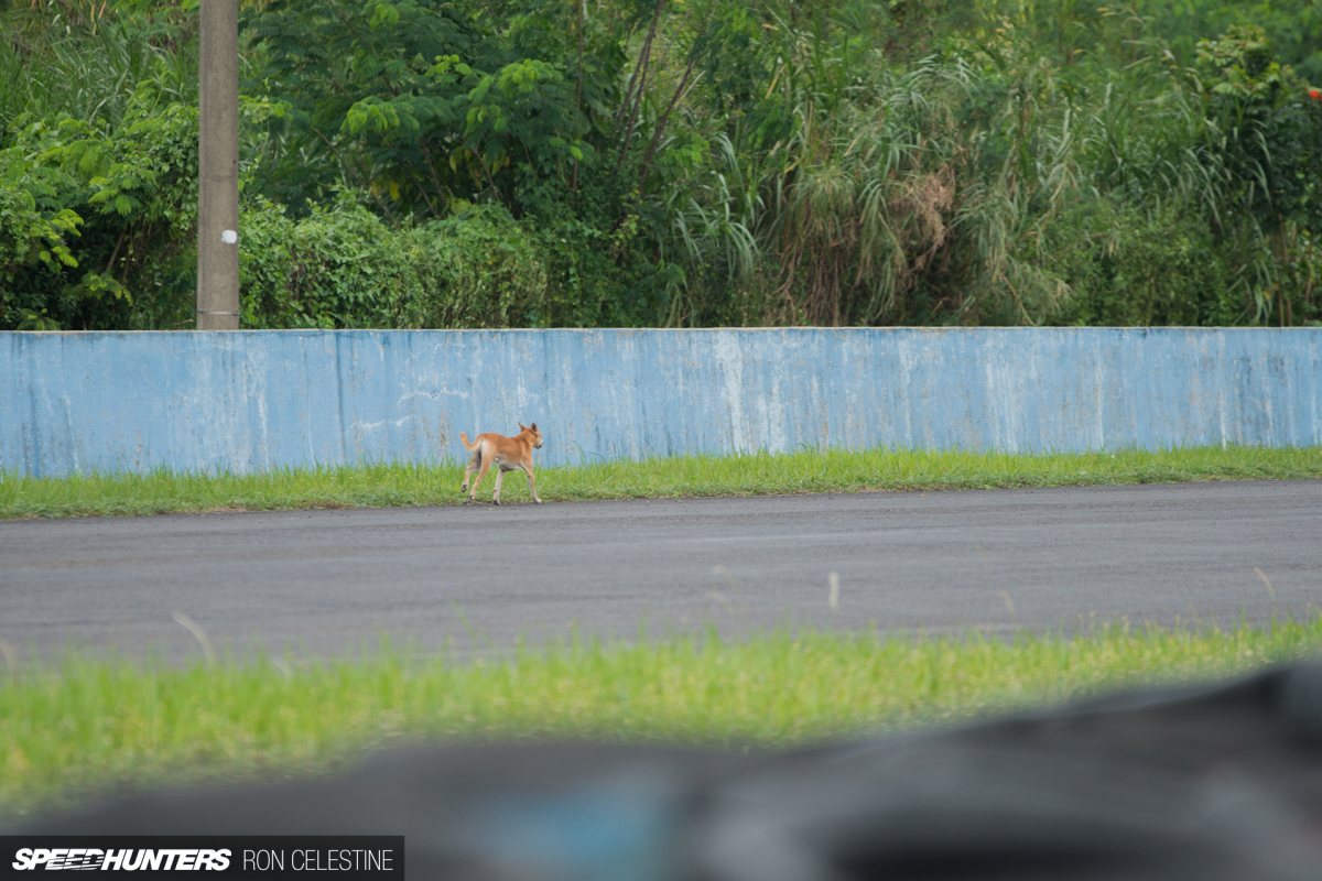 Speedhunters_Ron_Celestine_Goodrides_08409