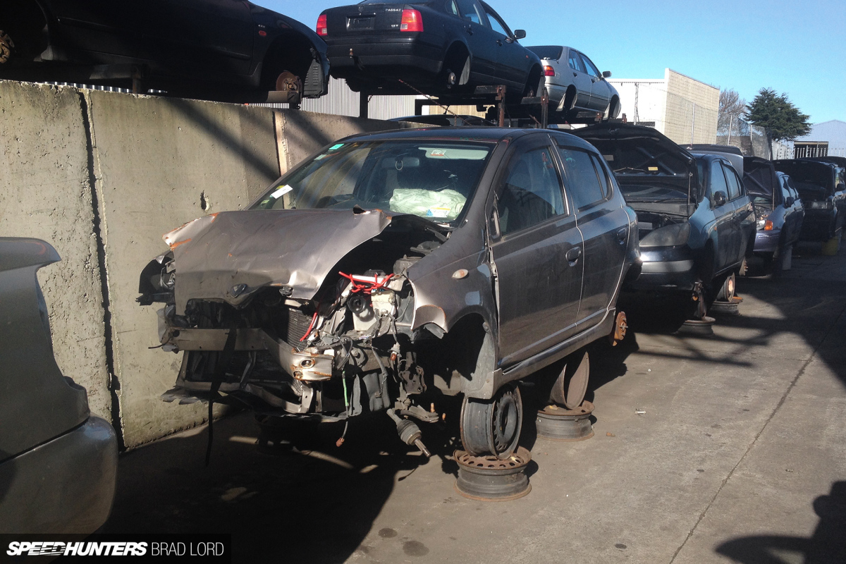 SH_BL_ZEBRA_VITZ-RS_0911