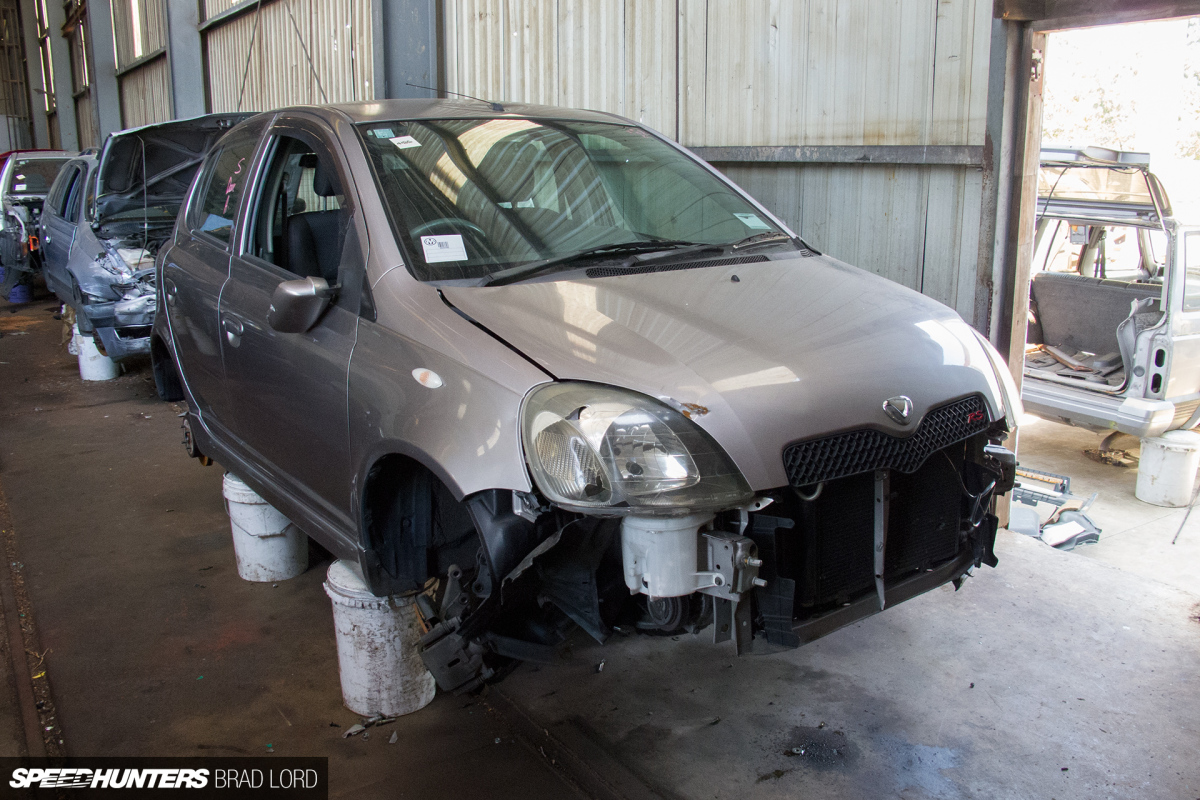 SH_BL_ZEBRA_VITZ-RS_6414