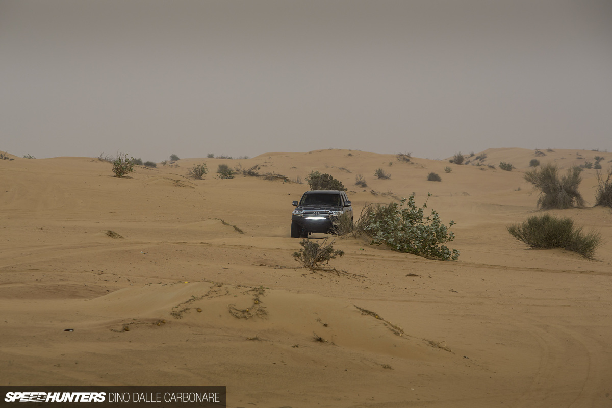 i_am_the_dune_hunter_dino_dalle_carbonare_47
