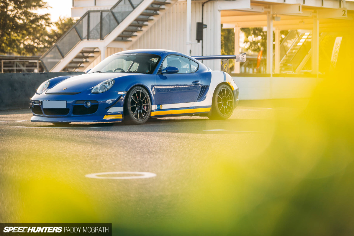 Obsessive Cayman Disorder