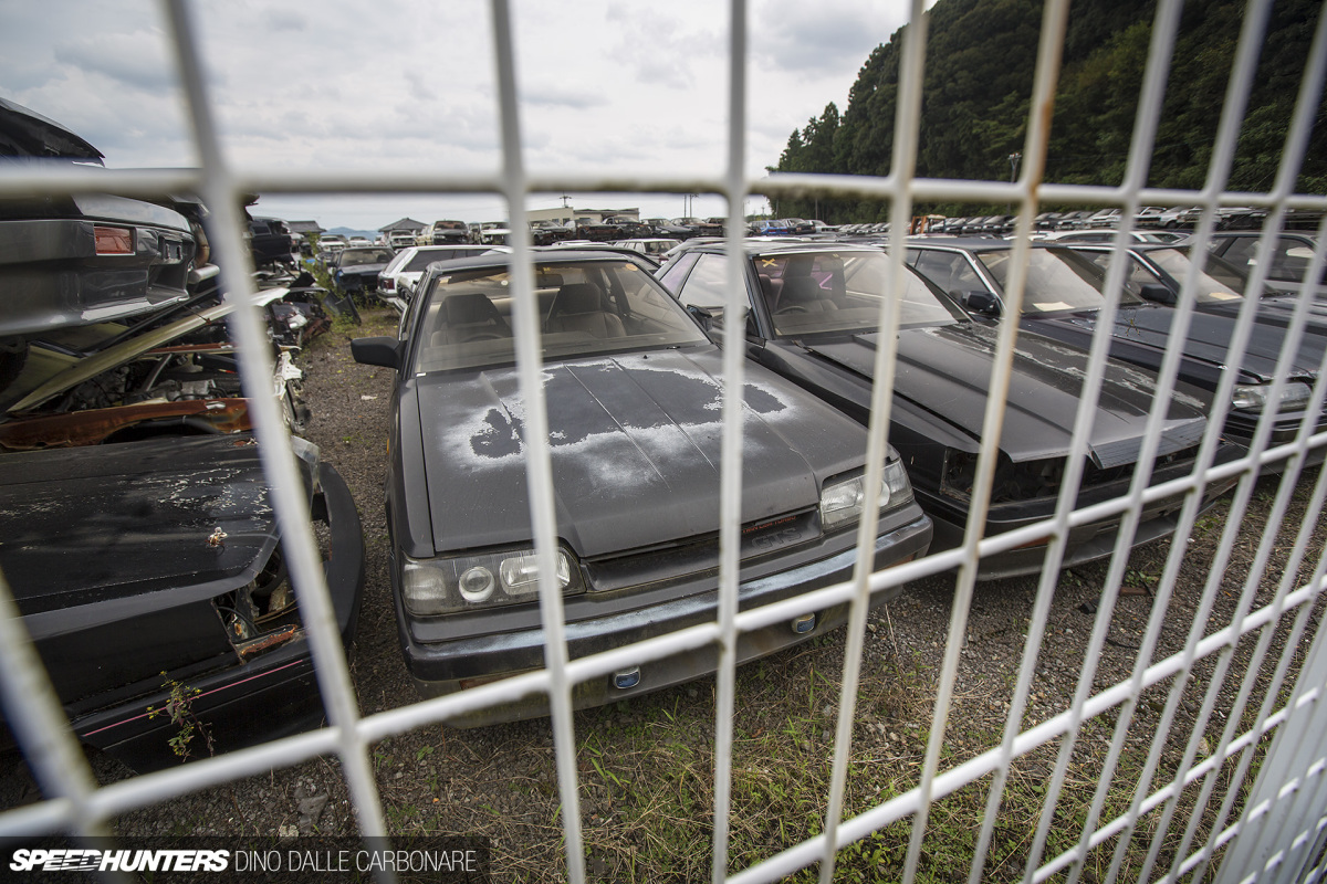 r31_house_stock_dino_dalle_carbonare_32