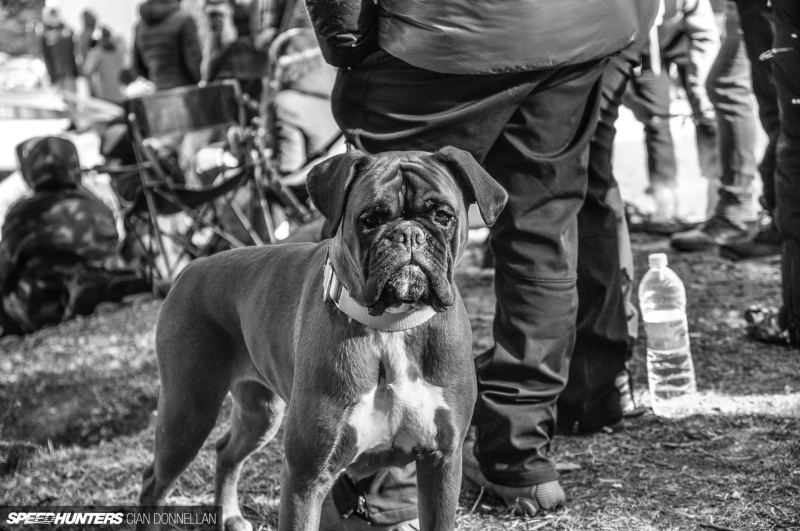 _DSC0219