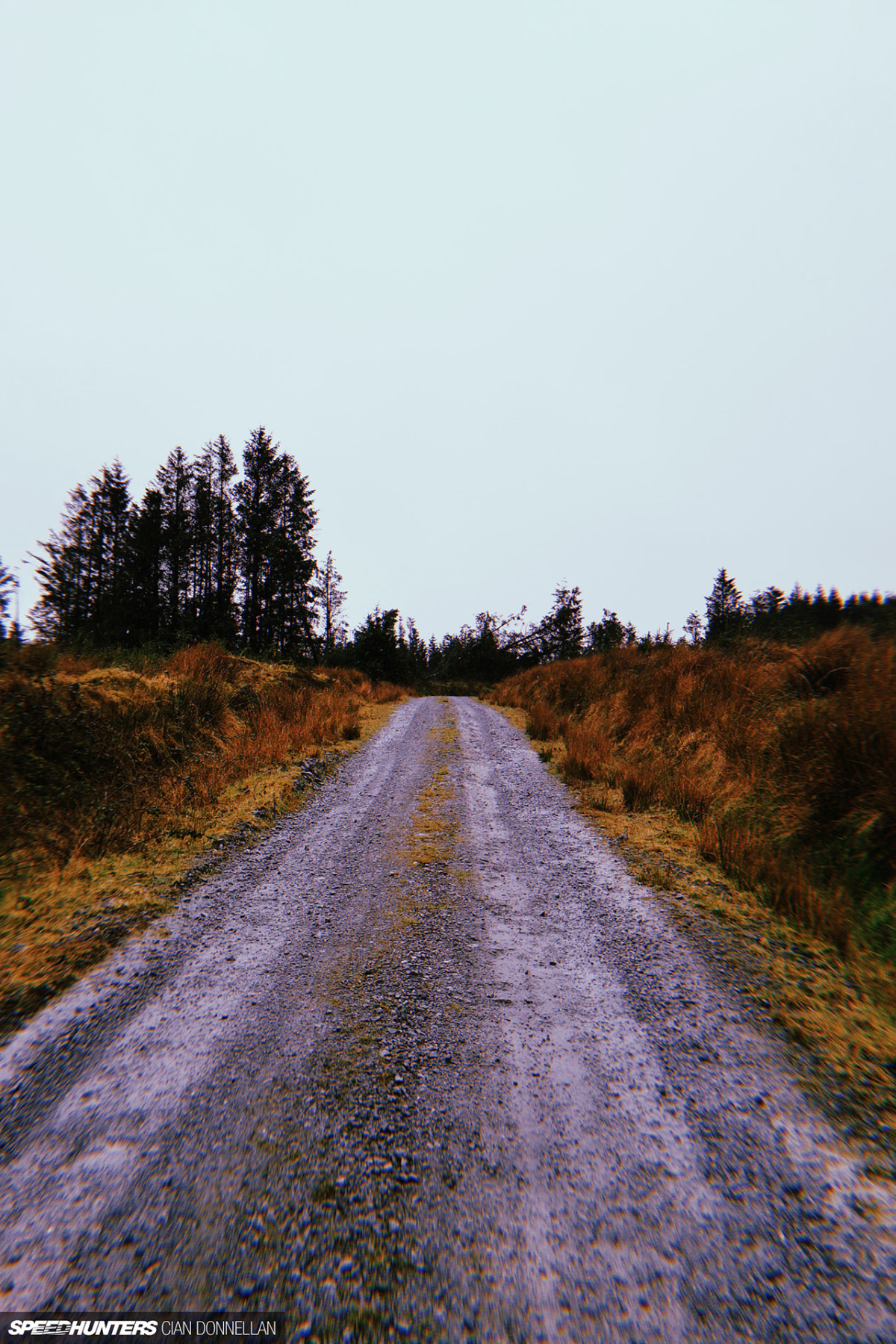 Speedhunters_Irish_Forests_Cian_Donnella_8