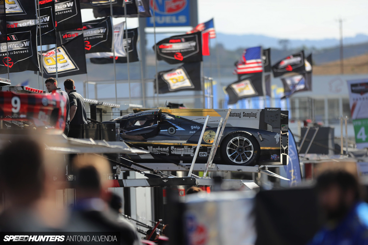IMSA Laguna Seca Antonio Sureshot 1920wm 1DX25982