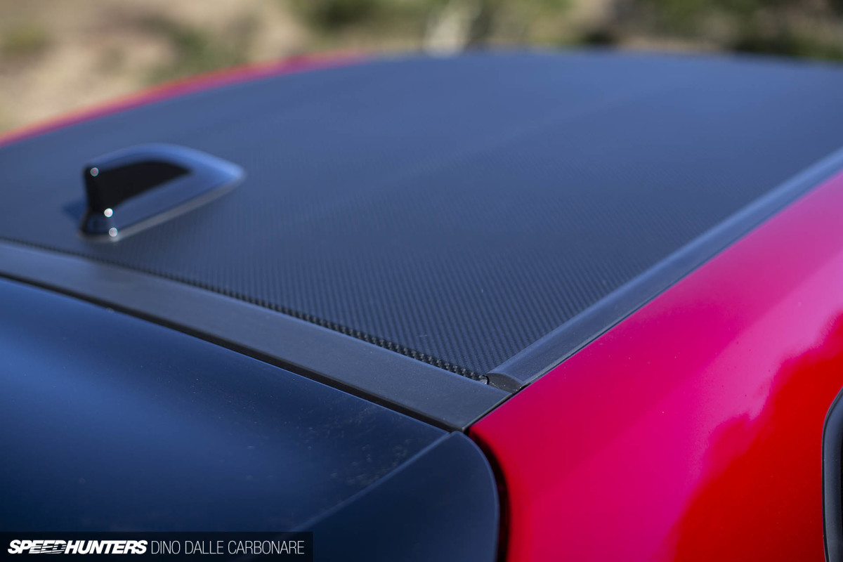 gryaris_dino_dalle_carbonare_03