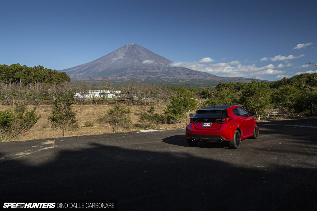 gryaris_dino_dalle_carbonare_05