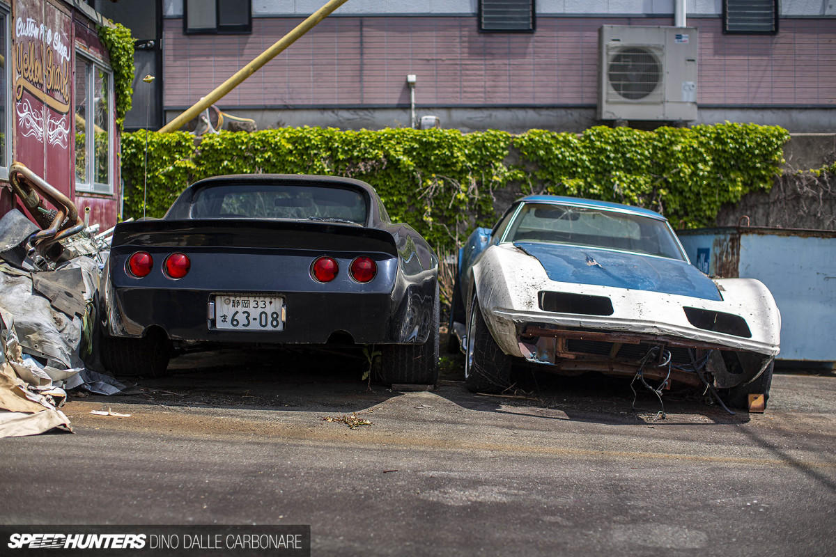 yellow_shark_dino_dalle_carbonare_26