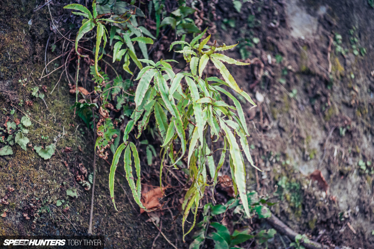 Toby_Thyer_Photographer_-20