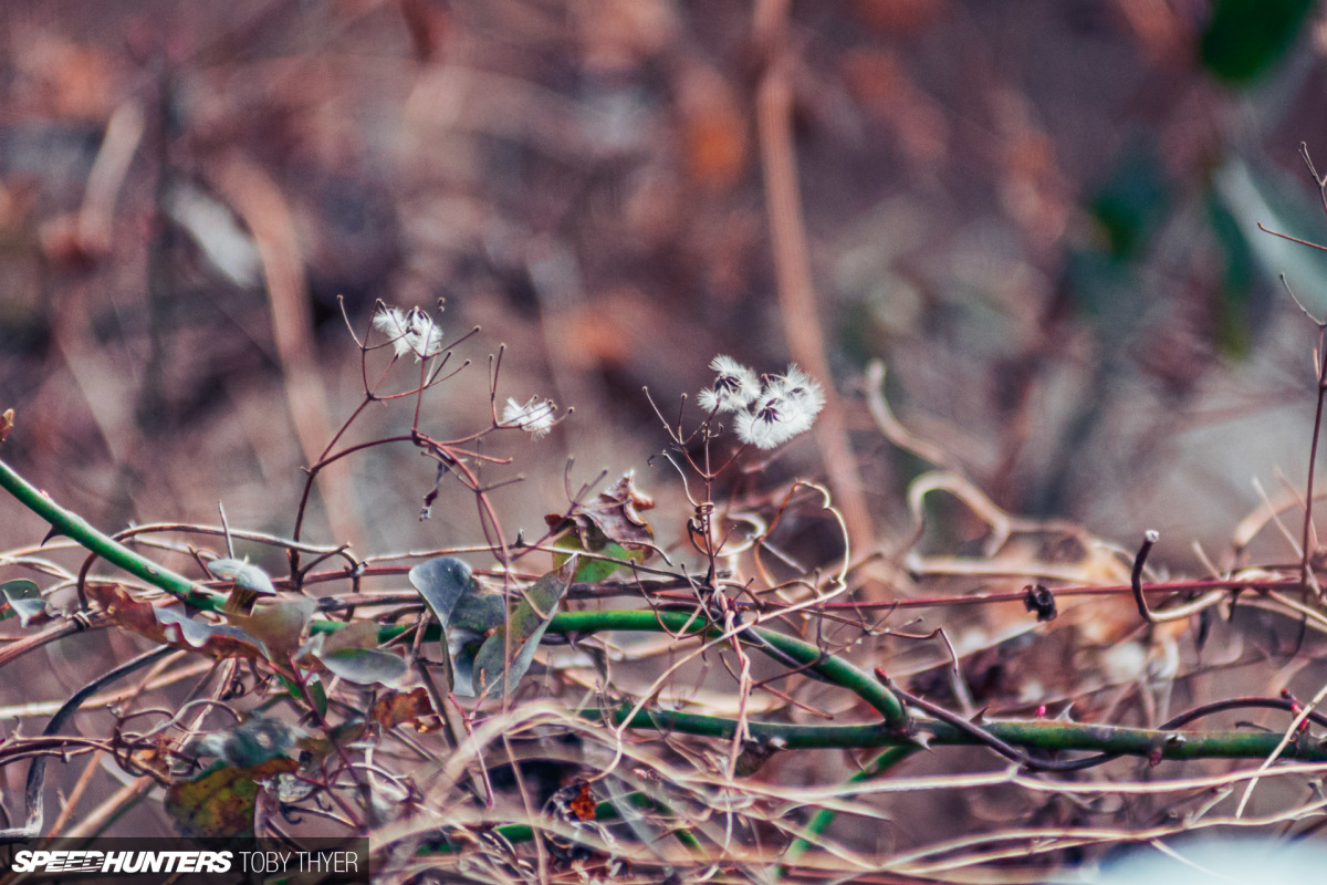 Toby_Thyer_Photographer_-21