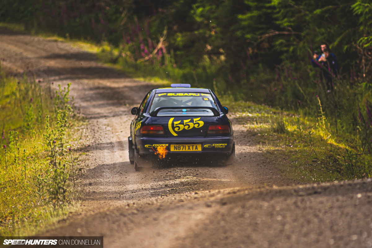 If You’d Gone Down To The Woods This Year