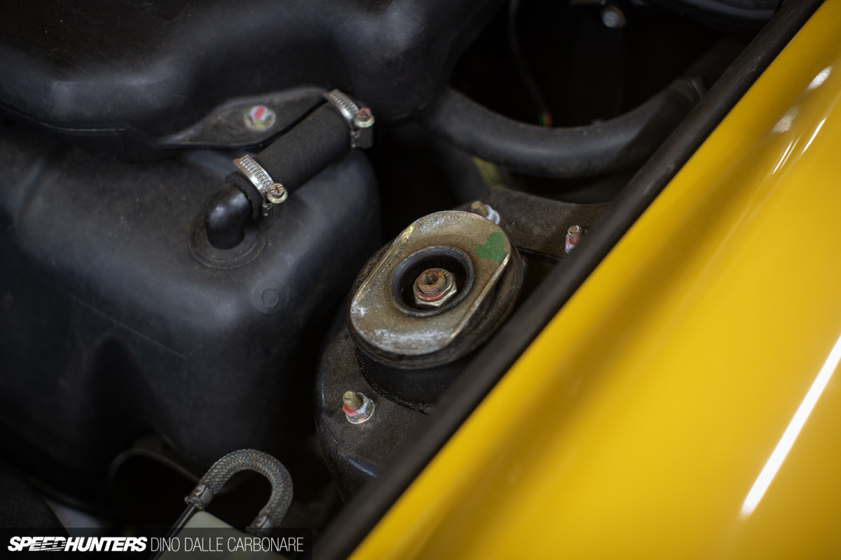 project964_kw_neova_dino_dalle_carbonare_08