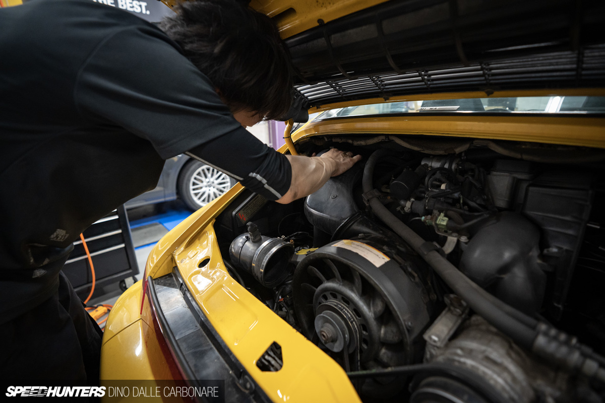 project964_kw_neova_dino_dalle_carbonare_46